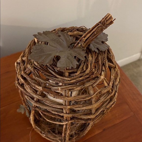 Rustic Wicker Pumpkin Bird Cage Decor w/ Felted Owl Cottagecore - Picture 3 of 7